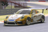 P1 Porsche Cup Gold 3.png