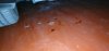 VideoCapture_20191127-231802.jpg