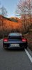 porsche otoño.jpg