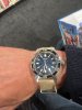 IMG_8806.jpeg