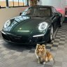 TheSwissDriver